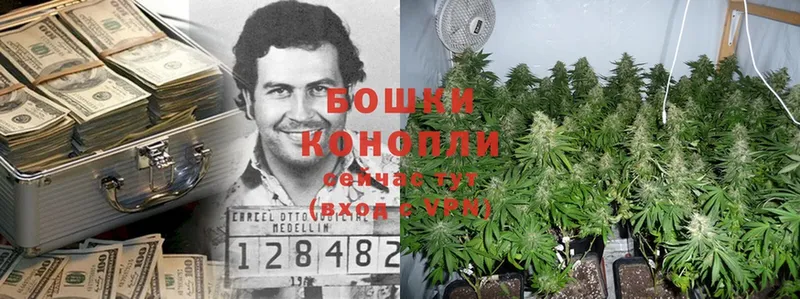 Бошки Шишки Bruce Banner  Магадан 